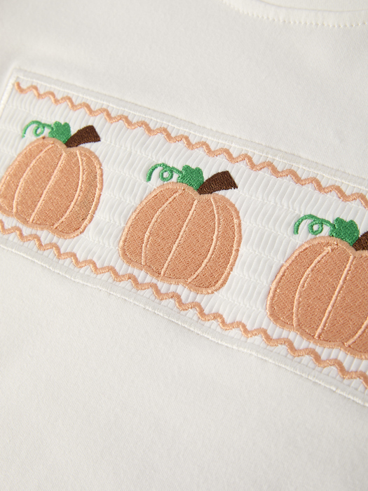 Boys Fall Halloween & Thanksgiving Pumpkin Embroidery Smocking Blue Plaid Toddler Boy Set