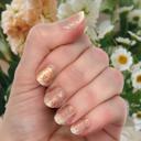 Wildest Dreams Spring Nail Wraps  |  Non-Toxic Nail Polish Stickers, Decals, and Strips for DIY Manicures