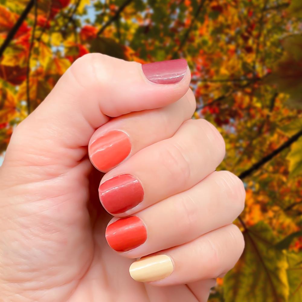 Fall Nail Wraps