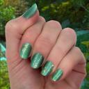 Jeweled Jade Glitter Nail Wraps