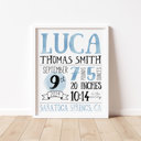  Birth Stats Art Print | 10 Colors