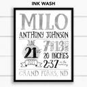  Birth Stats Art Print | 10 Colors