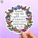  Assorted Butterfly Vinyl Stickers