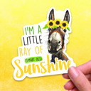  Animals Sarcastic Sticker Pack  (Set of 4)