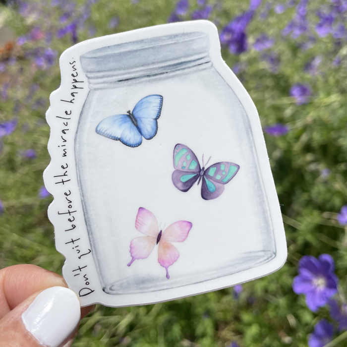 Butterfly Sticker Pack (Set of 4)