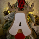  Personalized Reindeer Initial Ornament