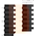  Custom ESV Dark Brown Compact Size Personalized Holy Bible Medium Print