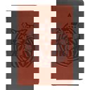  Custom KJV Brown Standard Size Kids Personalized Holy Bible Large Print | Royal Lion