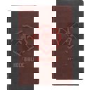  Custom KJV Brown Standard Kids Personalized Holy Bible Large Print  | Lion