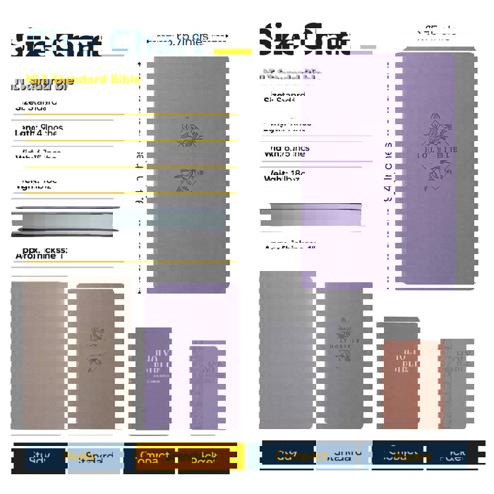 Custom NLT Lavender Standard Size Thinline Personalized Holy Bible Large Print