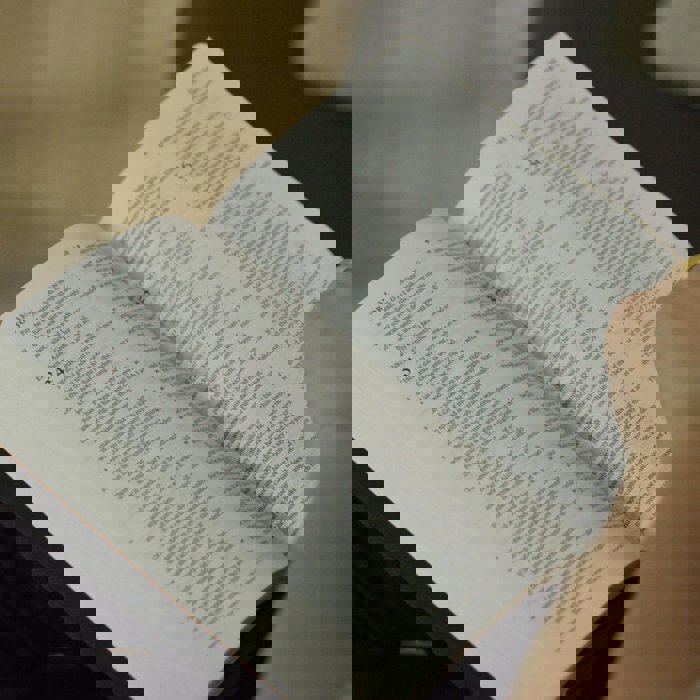 Custom ESV Dark Brown Standard Size Personalized  Holy Bible Medium Print | Royal Lion