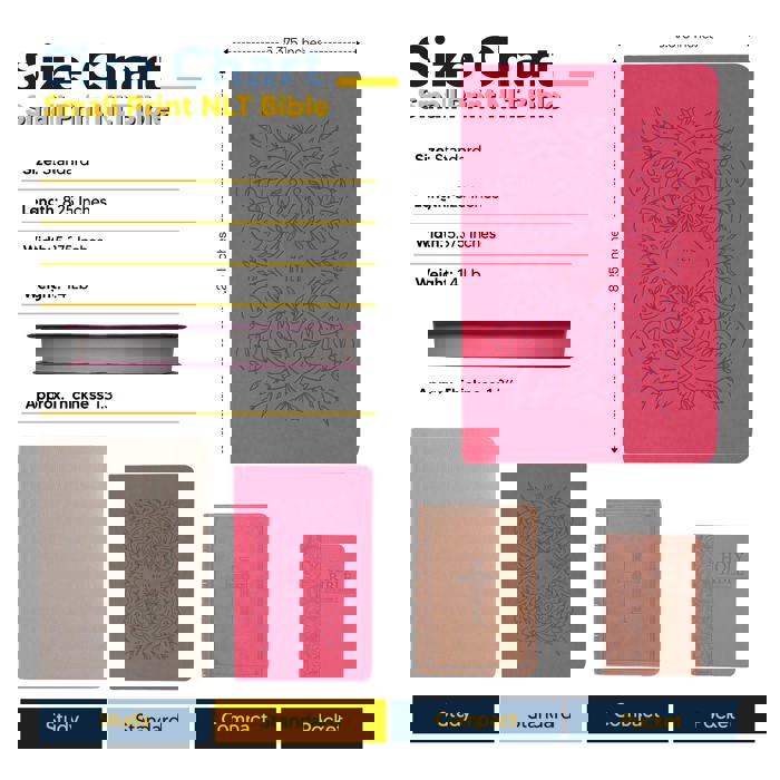 Custom NLT Pink Standard Size Personalized Holy Bible Medium Print | Vine