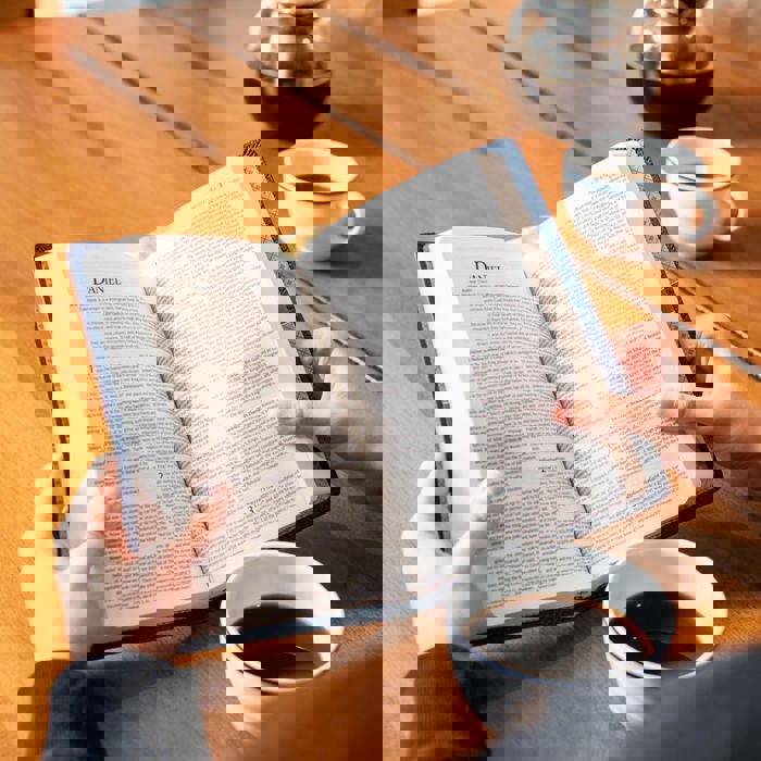 Custom NLT Black Standard Size TruTone Personalized Holy Bible Small Print