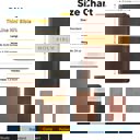  Custom NLT Brown Tan Standard Size Personalized Holy Bible Small Print