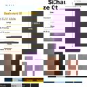  Custom KJV Purple Standard Size Personalized Holy Bible Small Print