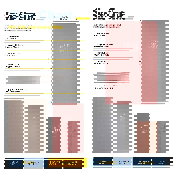 Custom NIV Pink Standard Size Personalized Holy Bible Small Print