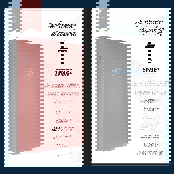 Custom NIV Pink Standard Size Personalized Holy Bible Small Print