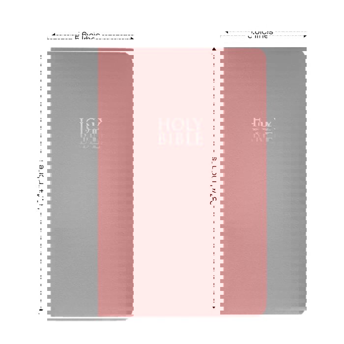 Custom NIV Pink Standard Size Personalized Holy Bible Small Print