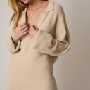  Kristin Collared Sweater Dress | Women's Fall and Winter Fashion | Thanksgiving and Holiday Outfit Inspo | Neutral | Long Sleeves | Mini | Layering