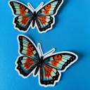 Butterfly Assorted Edgy Vinyl Stickers