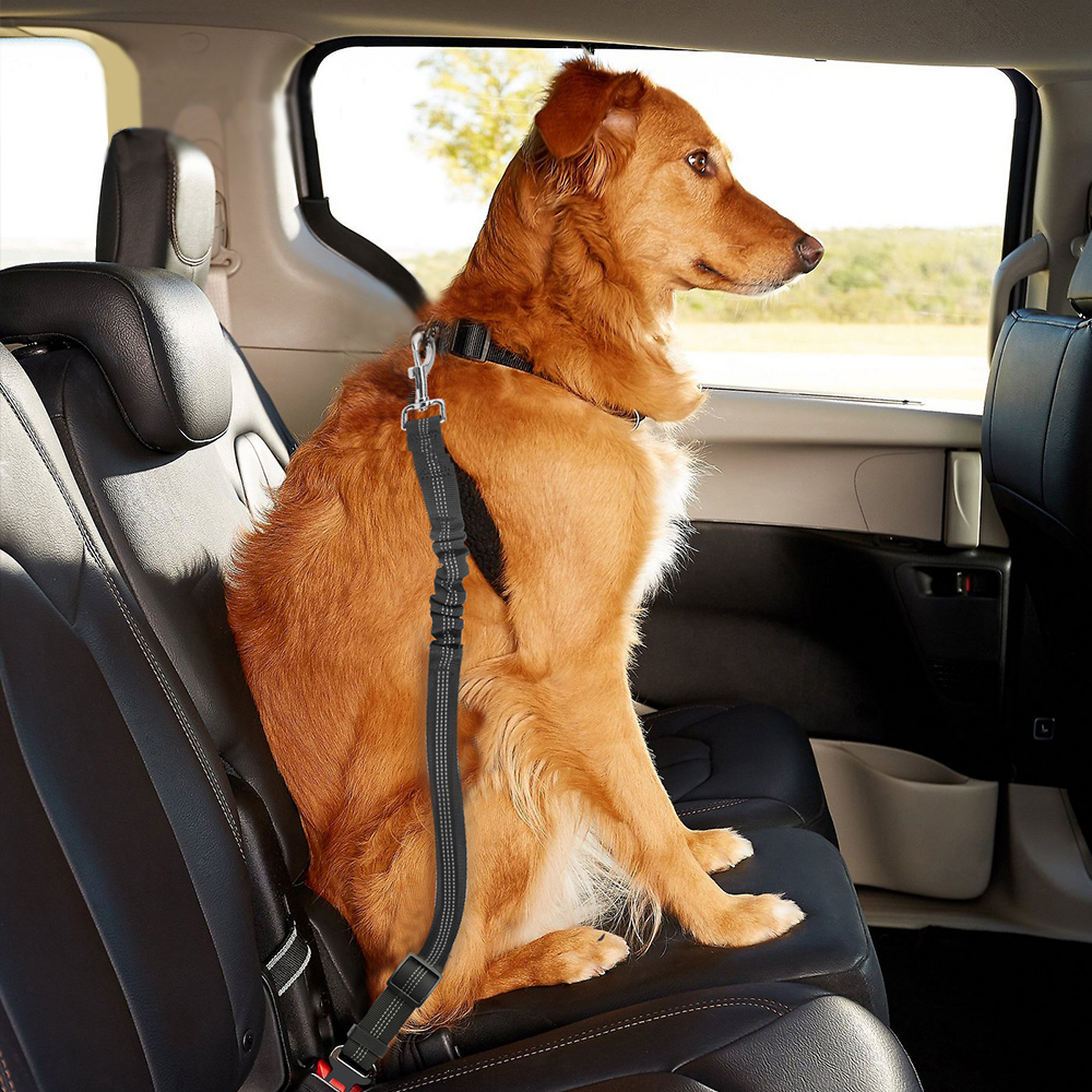 Adjustable Shock Absorbing Dog Leash Seat Belt