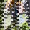  Custom Pet Photo Ornament | UV Printed on Clear Acrylic | Personalized Dog or Cat Keepsake