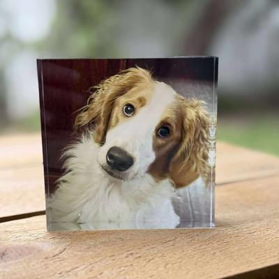 Custom Photo Block | UV Printed on Clear Acrylic | Personalized Home Decor or Gift