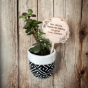  Plant Stake. Personalized Plant Stake. End of the year Teacher gift.