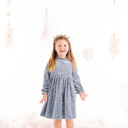  Toddler Girls Blue Christmas Dress in Velvet