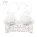 Medium White (Padded) Lace Bralette | S-XL | Smocked Bandeau Back | Adjustable Elastic Straps | Comfortable Fit