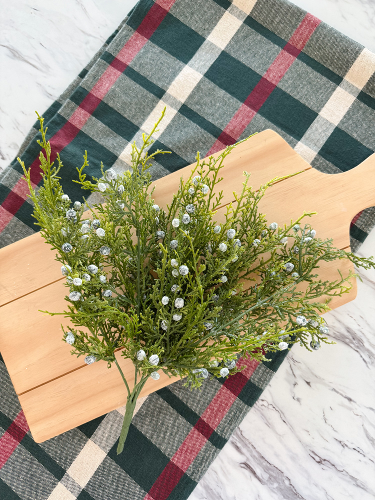 Christmas Juniper Bush 