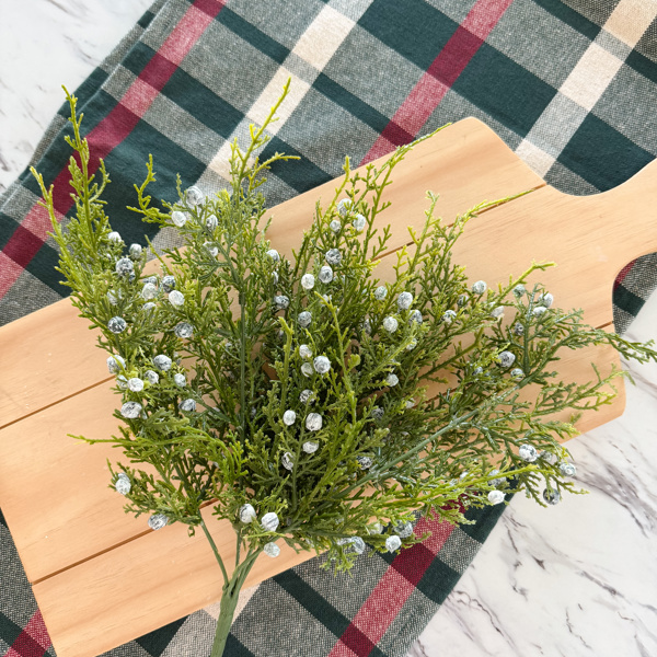 Christmas Juniper Bush 