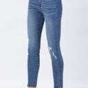  Judy Blue High Waist Dandelion Embroidery Skinny Denim 88415 - Plus