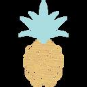 Sweet Pineapple Shop