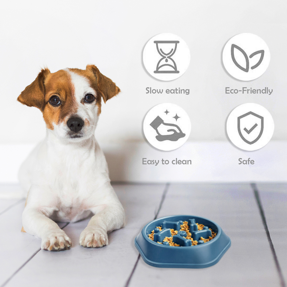 Anti-Choking Slow Feeder Dog Food Treats Bowl