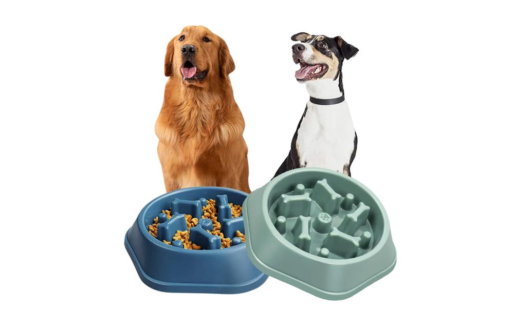 Anti-Choking Slow Feeder Dog Food Treats Bowl