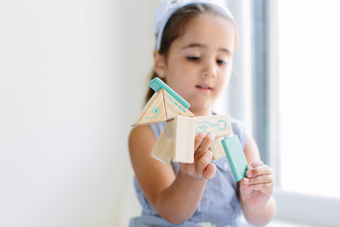 Robo Magnetic Wooden Block Set