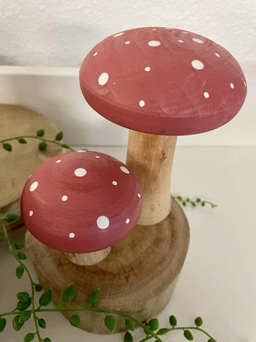 Colorful Cottage Mushroom Decorative Sitter Set