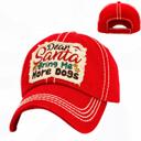  Dear SANTA Bring Me More DOGS Hats - FREE SHIPPING