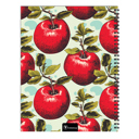  July 2025 - June 2026 Heirloom Apples Teacher and Home School Lesson Planning Book