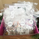  25 Day Silly Kit for Holiday Elf