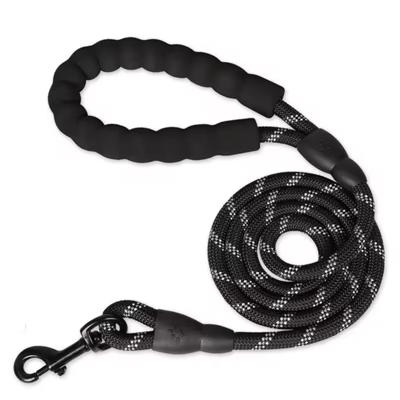 Reflective Dog Leash with Comfortable Padded Handle 