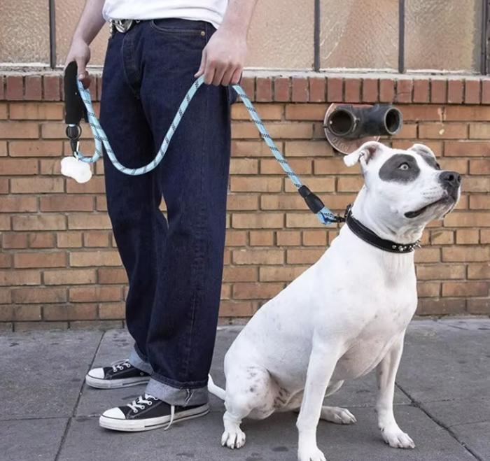 Reflective Dog Leash with Comfortable Padded Handle 