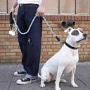  Reflective Dog Leash with Comfortable Padded Handle 