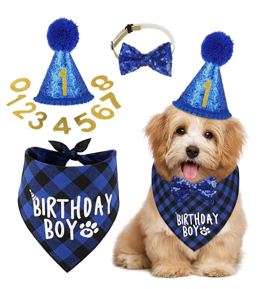 Pet Birthday Set - Small