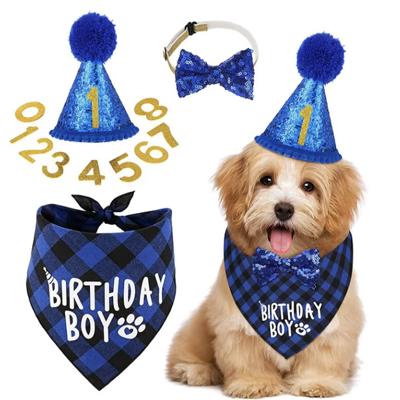 Pet Birthday Set - Small