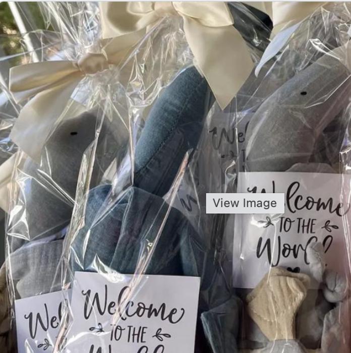 Goose Muslin Lovey-  Set of Two Bundle