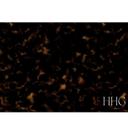  Monogrammed Animal Print Desk Mats - 4 sizes