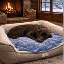  Personalized Pet Blanket - Three Sizes