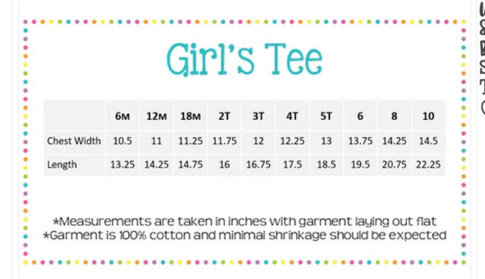 Love and Honks Geese Valentine Tee | Sizes 2T-10